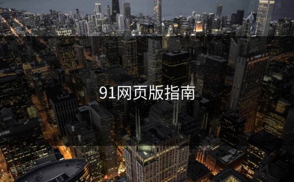 91网页版指南