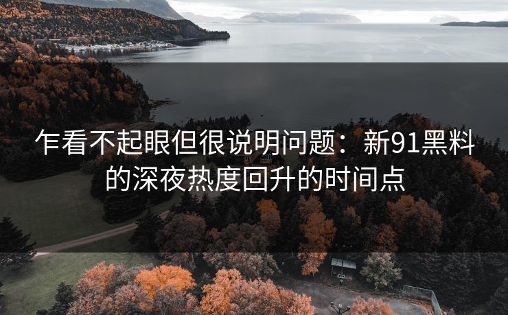 乍看不起眼但很说明问题:新91黑料的深夜热度回升的时间点 乍看不起眼但很说明问题:新91黑料的深夜热度回升的时间点